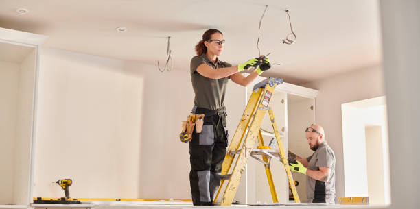 Best Electric Panel Repair  in Mammoth Spring, AR